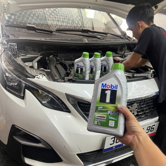 Phụ tùng thay thế Peugeot cấp 5.000 km