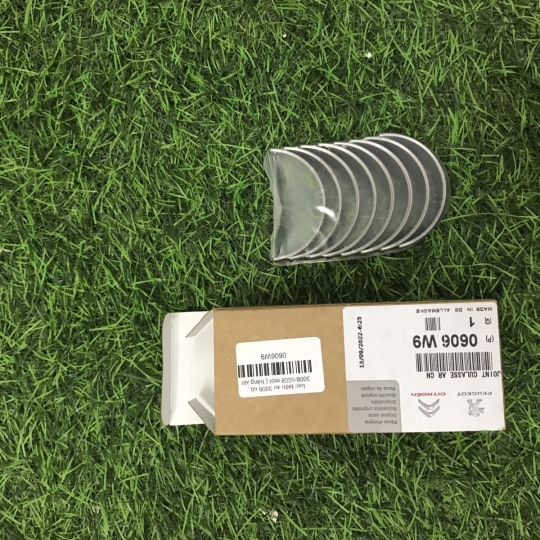 Bạc biên xe 3008 cũ , 3008/5008 mới ( hàng xịn pháp ) 0606W9