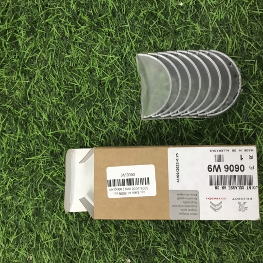 Bạc biên xe 3008 cũ , 3008/5008 mới ( hàng xịn pháp ) 0606W9