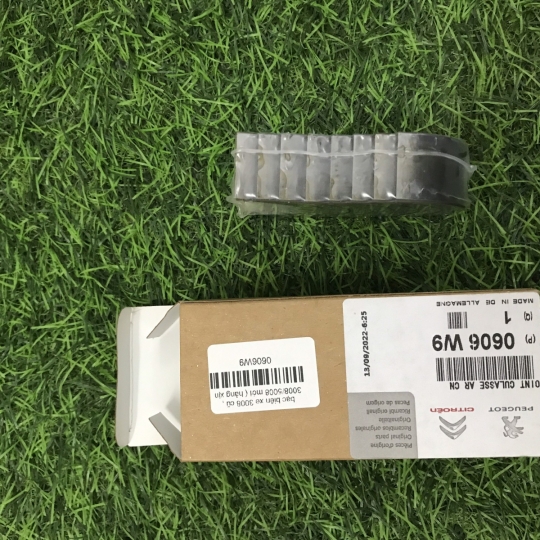 Bạc biên xe 3008 cũ , 3008/5008 mới ( hàng xịn pháp ) 0606W9